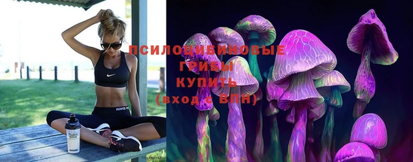 мдпв Верея