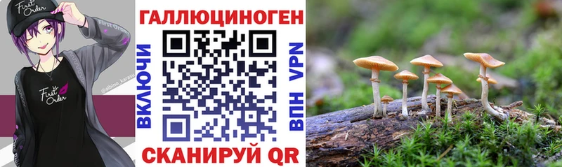 Псилоцибиновые грибы Magic Shrooms где найти Ахтырский